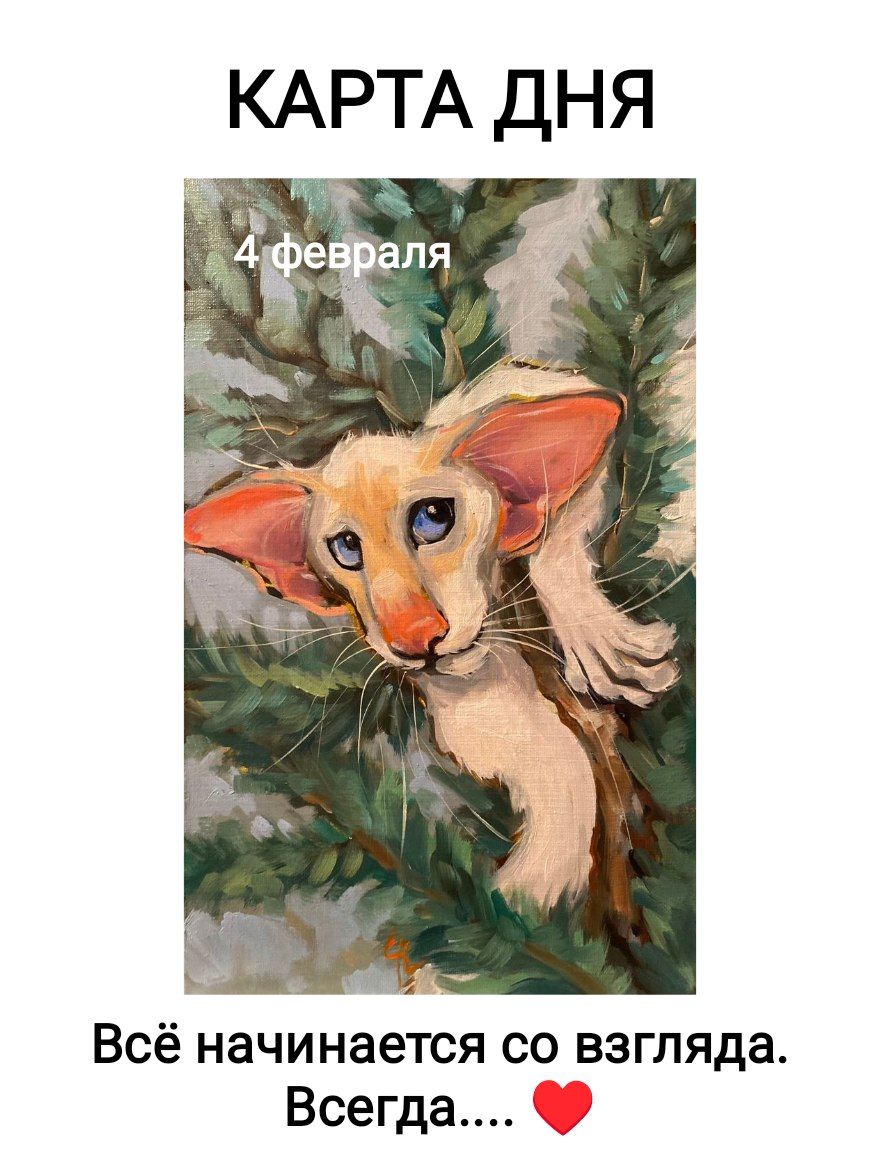 КАРТА ДНЯ
4 февраля
Всё начинается со взгляда. Всегда.... ❤️