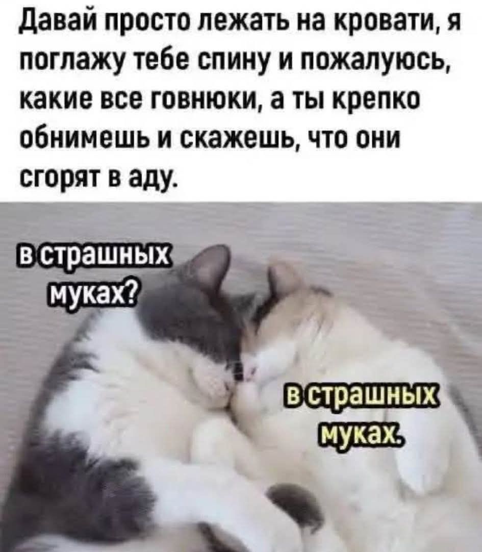 Давай просто лежать на кровати, я поглажу тебе спинку и пожалуюсь, какие все говнюки, а ты крепко обнимешь и скажешь, что они сгорают в аду.

в страшных муках?  в страшных муках,