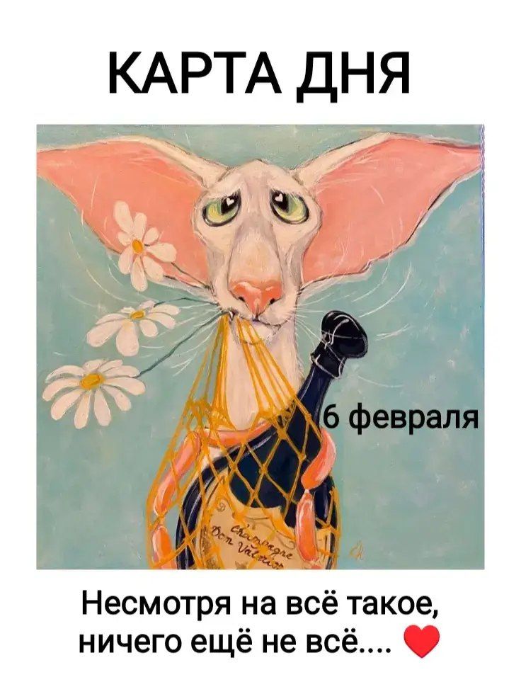 КАРТА ДНЯ 6 февраля Несмотря на всё такое, ничего ещё не всё... ❤
