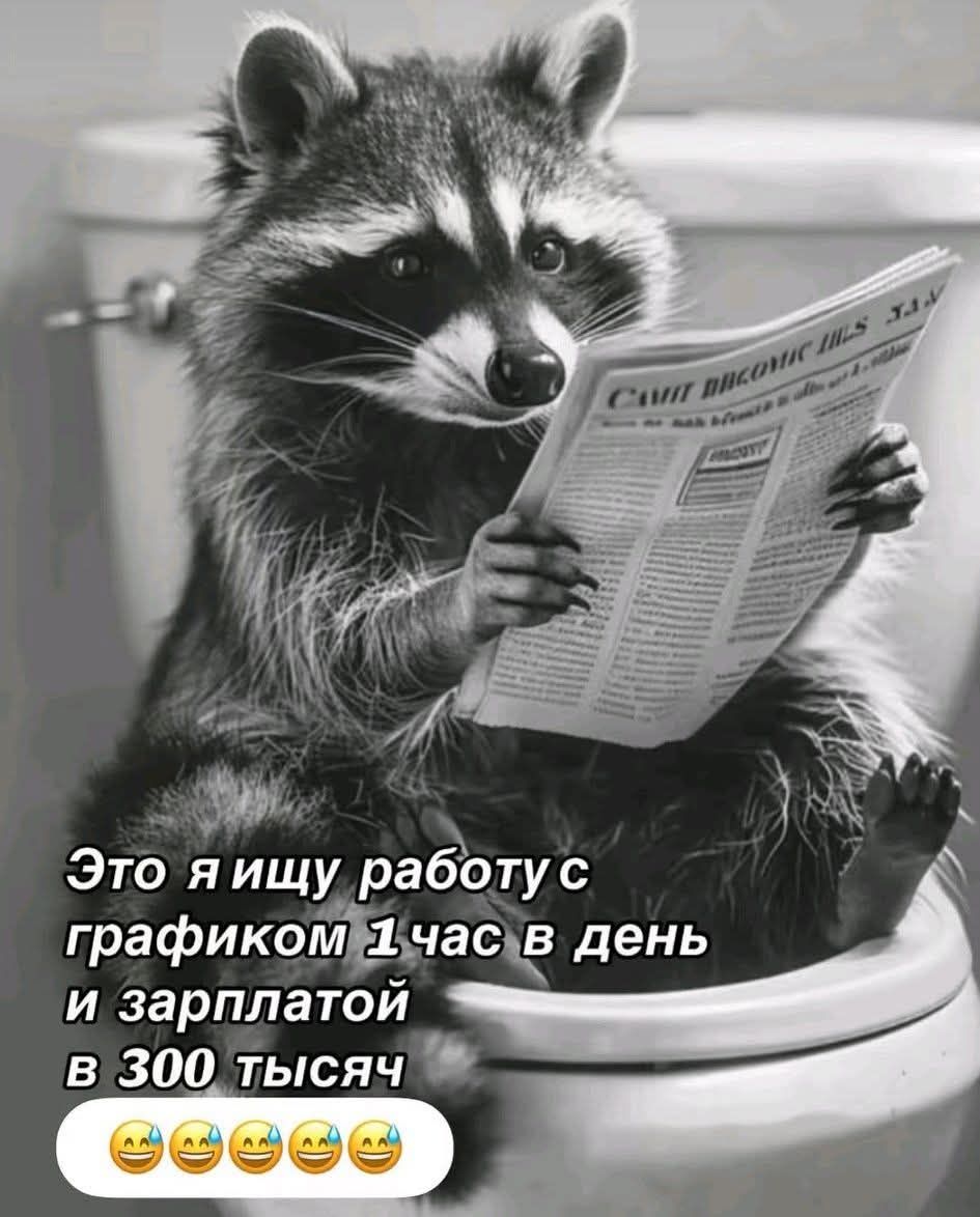 Это я ищу работу с графиком 1 час в день и зарплатой в 300 тысяч 😂😂😂😂😂