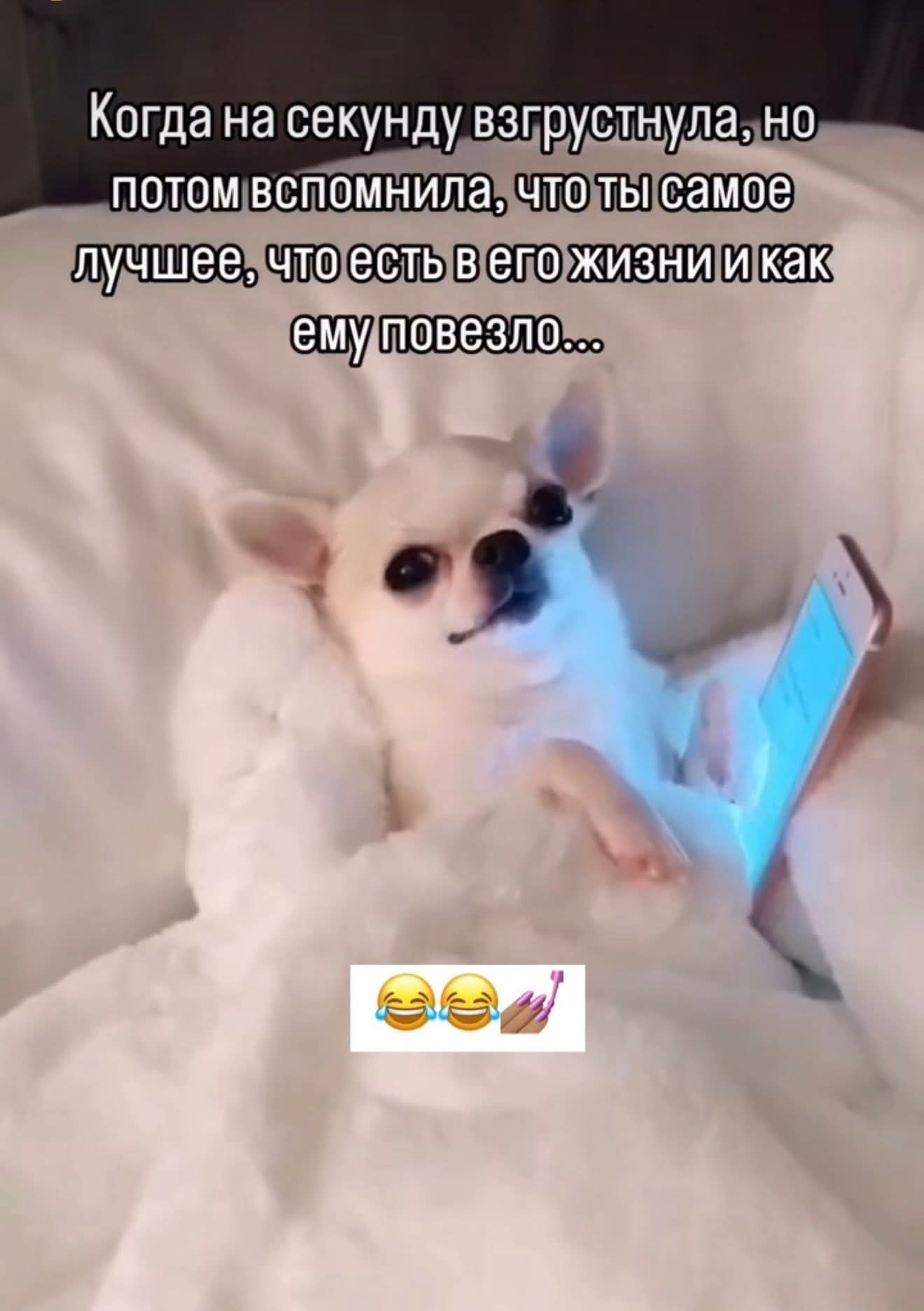 Когда на секунду взгрустнула, но потом вспомнила, что ты самое лучшее, что есть в его жизни и как ему повезло...