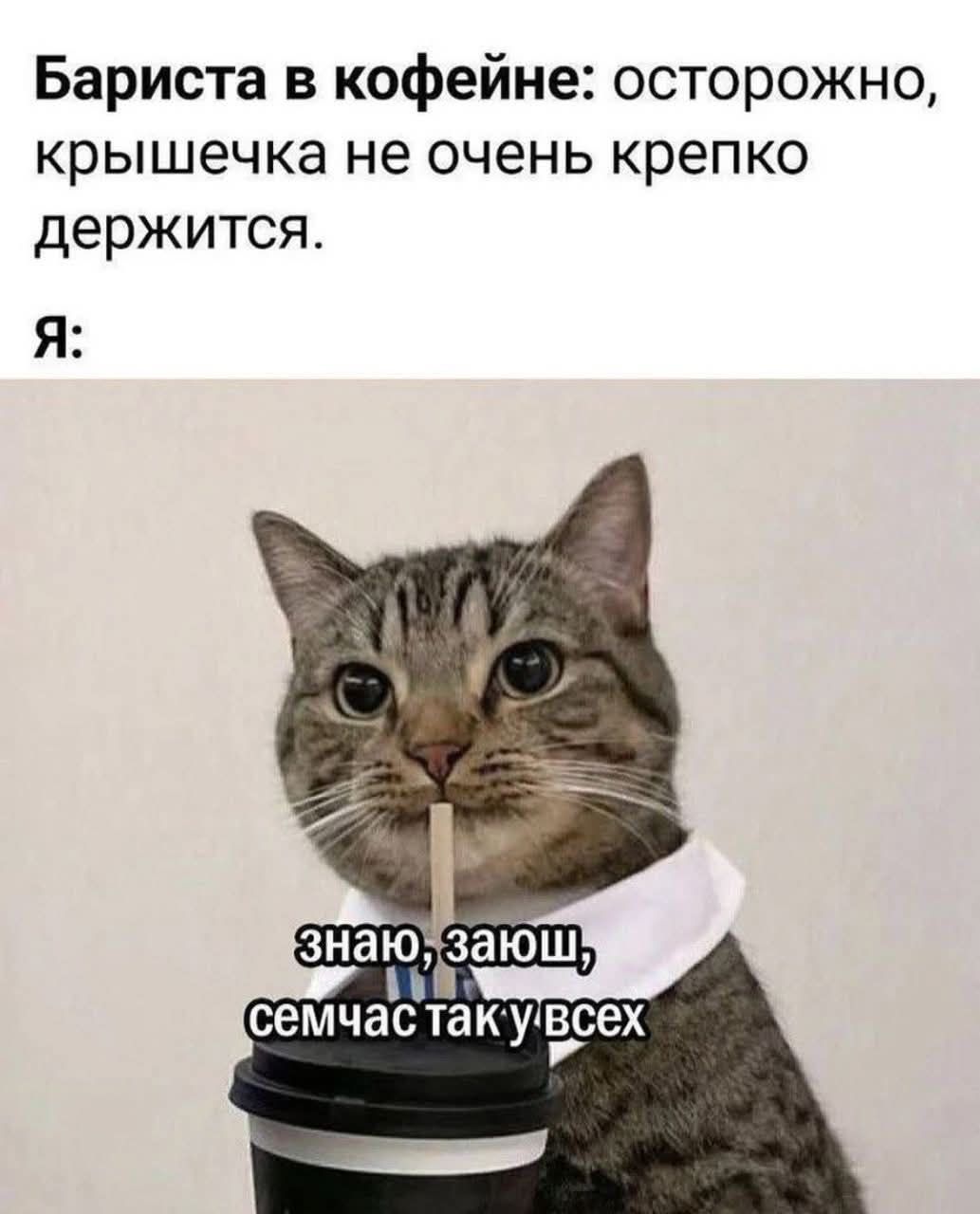 Бариста в кофейне: осторожно, крышечка не очень крепко держится. Я: знаю, зову, семчас так у всех