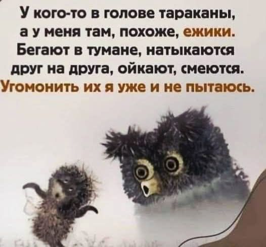 У кого-то в голове тараканы, а у меня там, похоже, ёжики. Бегают в тумане, наталкиваются друг на друга, окайют, смеются. Угомонить их я уже и не пытаюсь.