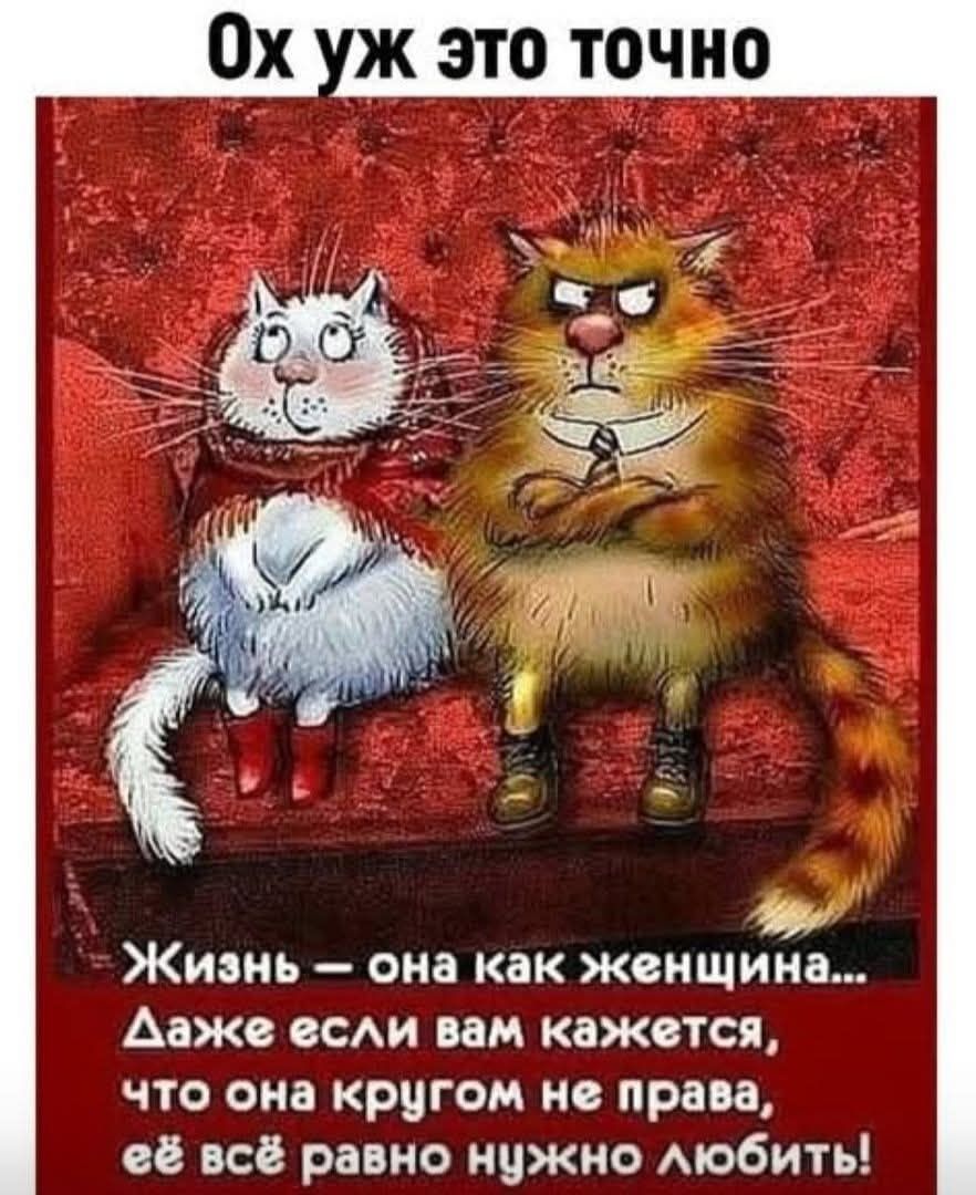 Ох уж это точно
Жизнь – она как женщина... Даже если вам кажется, что она кругом не права, её всё равно нужно любить!