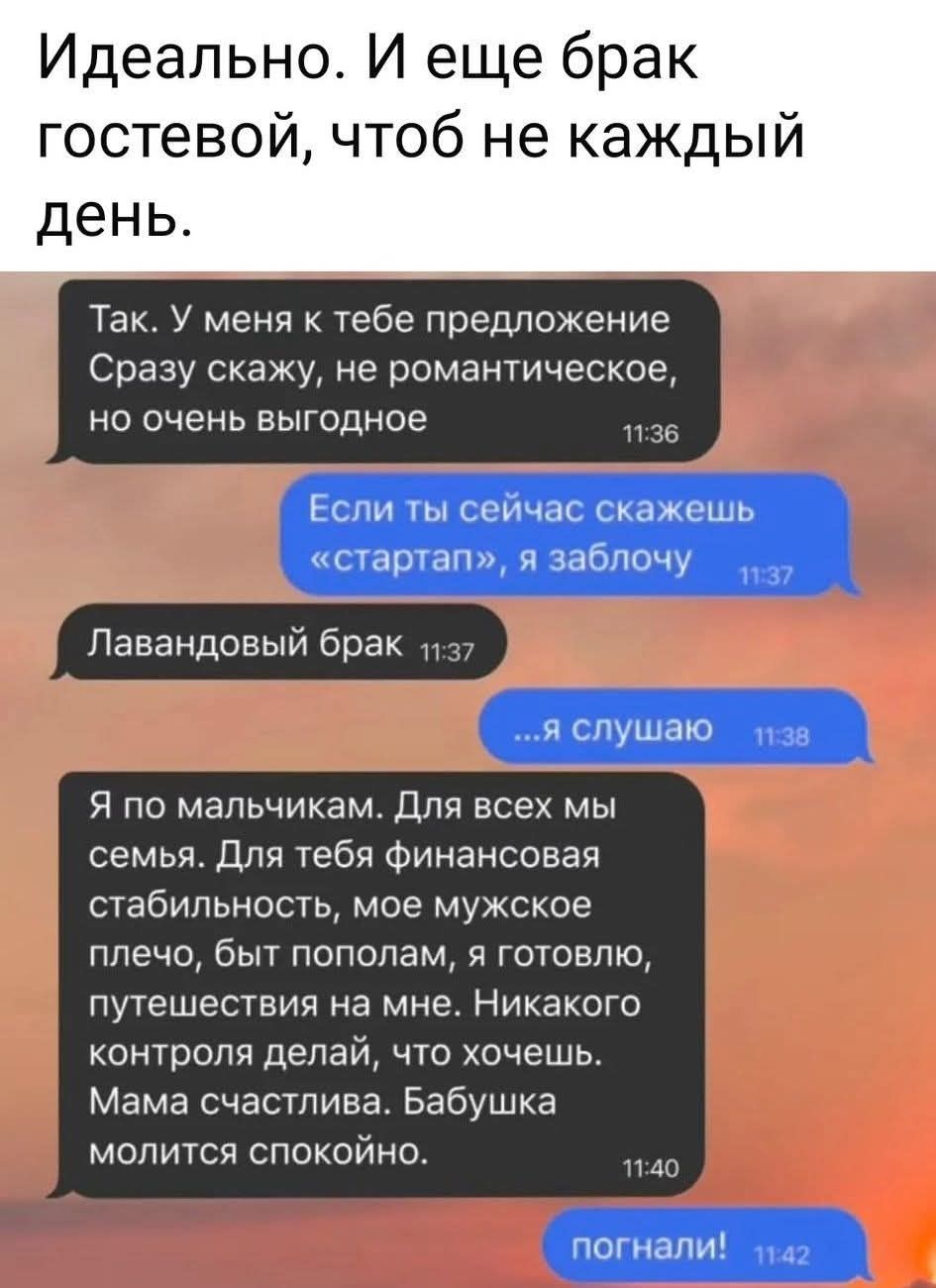 Так. У меня к тебе предложение. Сразу скажу, не романтическое, но очень выгодное. Если ты сейчас скажешь «стартап», я заблочу. Лавандовый брак. Я по мальчикам. Для всех мы семья. Для тебя финансовая стабильность, моё плечо, быт пополам, я готовлю, путешествия на мне. Никакого контроля. Мама счастлива. Бабушка молится. Погнали!