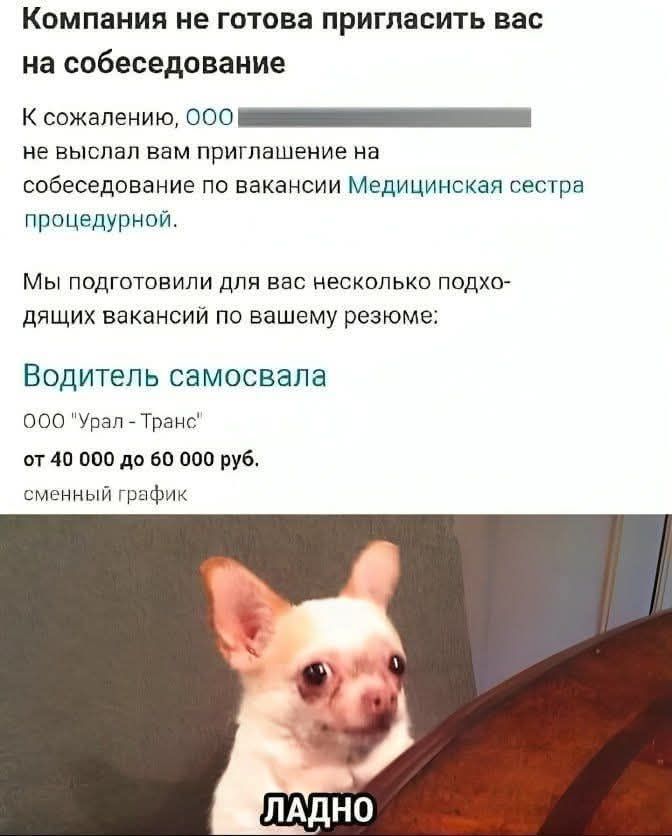 Компания не готова пригласить вас на собеседование. К сожалению, [имя] не выслал вам приглашение на собеседование по вакансии Медицинская сестра процедурной. Мы подготовили для вас несколько подходящих вакансий по вашему резюме: Водитель самосвала, ООО 'Урал - Транс', от 40 000 до 60 000 руб. сменный график. ЛАДНО