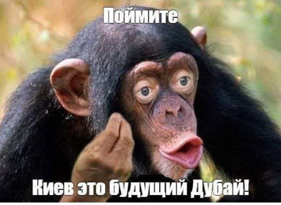 Поймите
Киев это будущий Дубай!