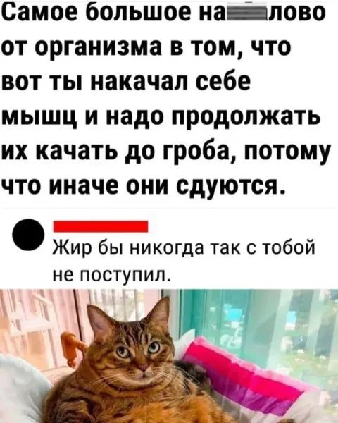 Самое большое на******лово от организма в том, что вот ты накачал себе мышцы и надо продолжать их качать до гроба, потому что иначе они сдуются. Жир бы никогда так с тобой не поступил.