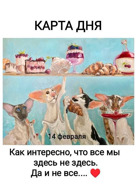 КАРТА ДНЯ
14 февраля
Как интересно, что все мы здесь не здесь. Да и не все.... ❤️