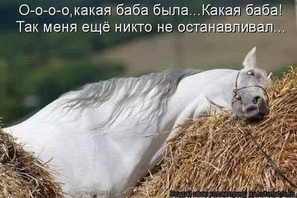 О-о-о, какая баба была...Какая баба! Так меня ещё никто не останавливал...