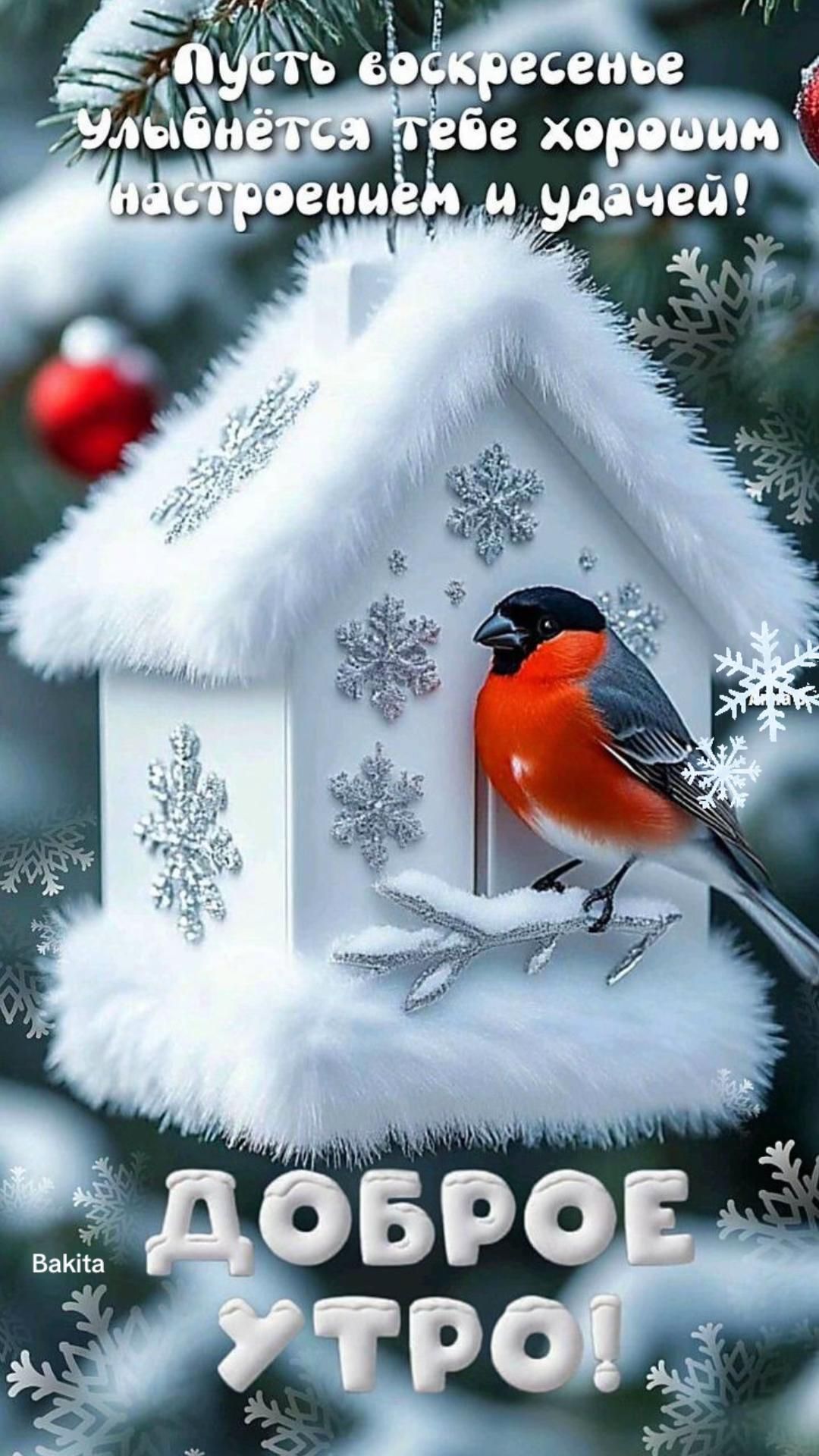 Пусть воскресенье улыбнётся тебе хорошим настроением и удачей! ДОБРОЕ УТРО!