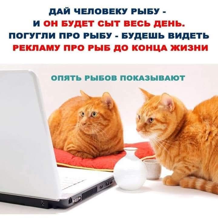 ДАЙ ЧЕЛОВЕКУ РЫБУ - И ОН БУДЕТ СЫТ ВЕСЬ ДЕНЬ. ПОГУГЛИ ПРО РЫБУ - БУДЕШЬ ВИДЕТЬ РЕКЛАМУ ПРО РЫБ ДО КОНЦА ЖИЗНИ. ОПЯТЬ РЫБОВ ПОКАЗЫВАЮТ