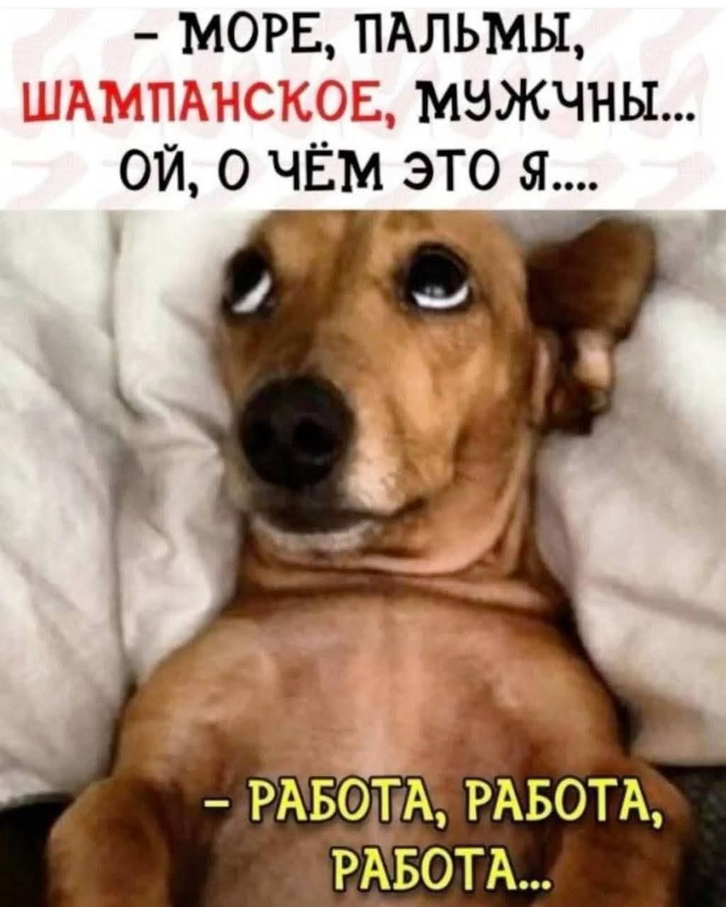 - МОРЕ, ПАЛЬМЫ, ШАМПАНСКОЕ, МУЖЧИНЫ... ОЙ, О ЧЁМ ЭТО Я... - РАБОТА, РАБОТА, РАБОТА...