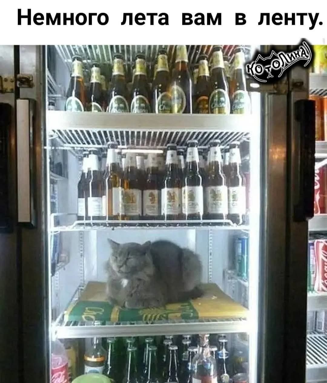 Немного лета вам в ленту.