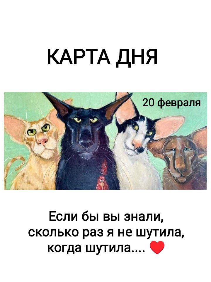 КАРТА ДНЯ 20 февраля Если бы вы знали, сколько раз я не шутила, когда шутила.... ❤️