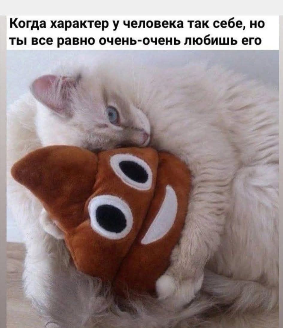 Когда характер у человека так себе, но ты все равно очень-очень любишь его