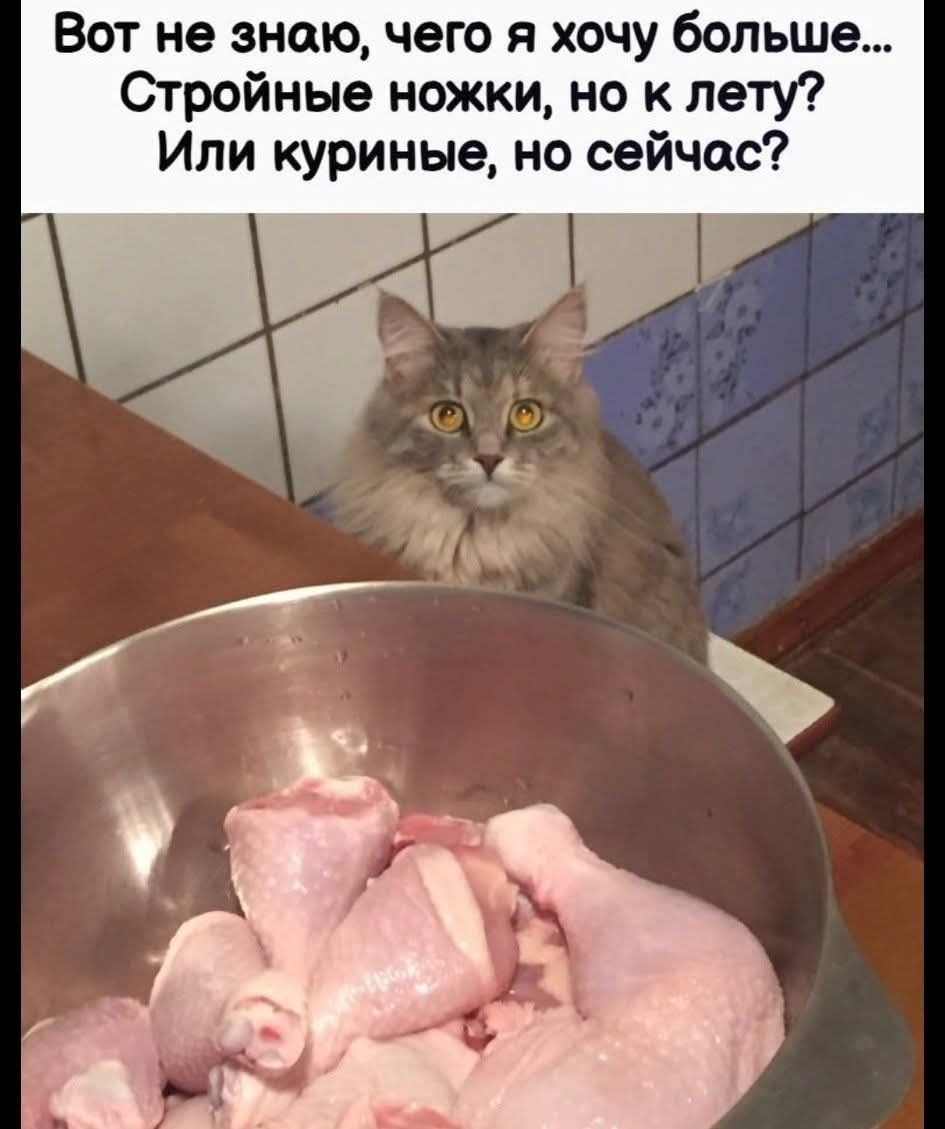 Вот не знаю, чего я хочу больше... Стройные ножки, но к лету? Или куриные, но сейчас?