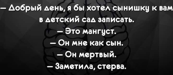 Добрый день, я бы хотел сынишку к вам в детский сад записать. Это мангуст. Он мне как сын. Он мертвый. Заметила, стерва.