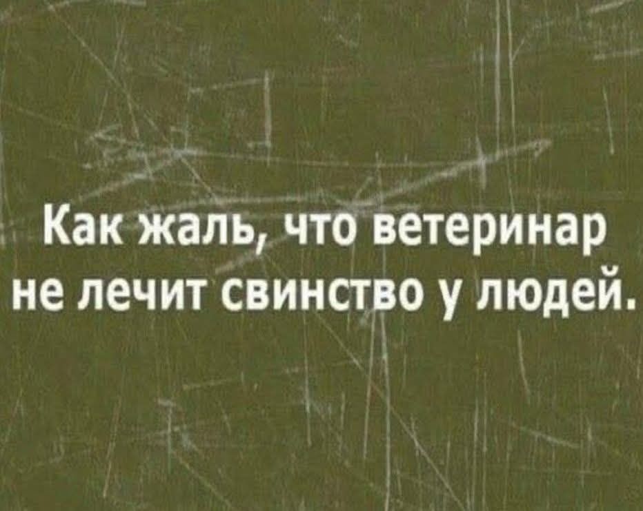 Как жаль, что ветеринар не лечит свинство у людей.