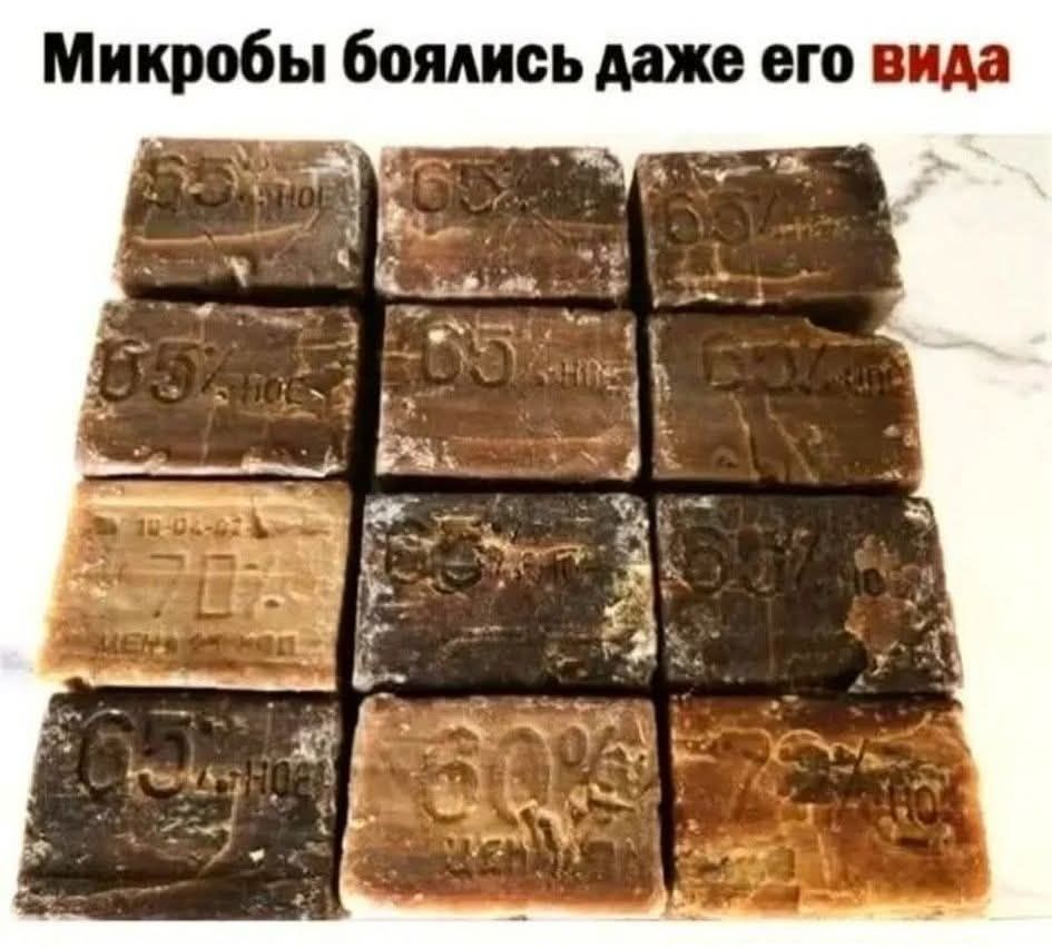 Микробы боялись даже его вида