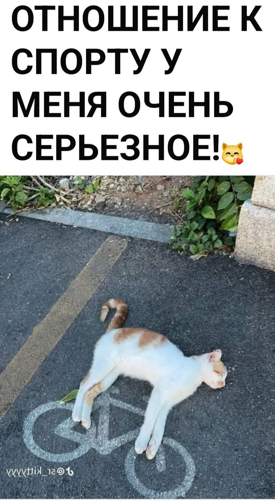 ОТНОШЕНИЕ К СПОРТУ У МЕНЯ ОЧЕНЬ СЕРЬЕЗНОЕ!