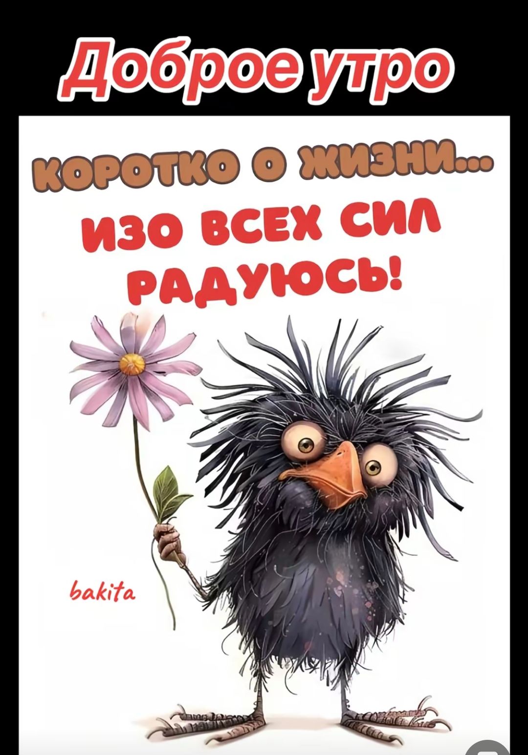 Доброе утро. коротко о жизни... изо всех сил радуюсь!