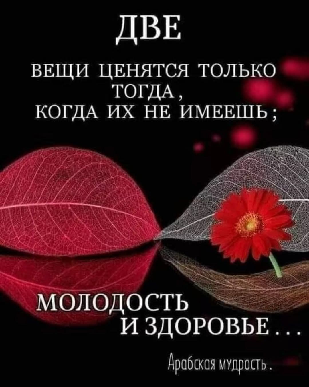 Две вещи ценятся только тогда, когда их не имеешь; молодость и здоровье... Арабская мудрость.