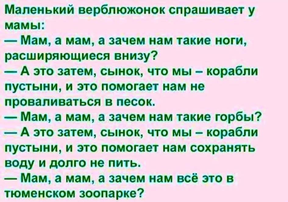 Маленький верблюжонок спрашивает у мамы: — Мам, а мам, а зачем нам такие ноги, чтобы не проваливаться в песок. — А это затем, сынок, что мы — корабли пустыни, и это помогает нам не проваливаться в песок. — Мам, а мам, а зачем нам такие горбы? — А это затем, сынок, что мы — корабли пустыни, и это помогает нам сохранять воду и долго не пить. — Мам, а мам, а зачем нам всё это в тюменском зоопарке?