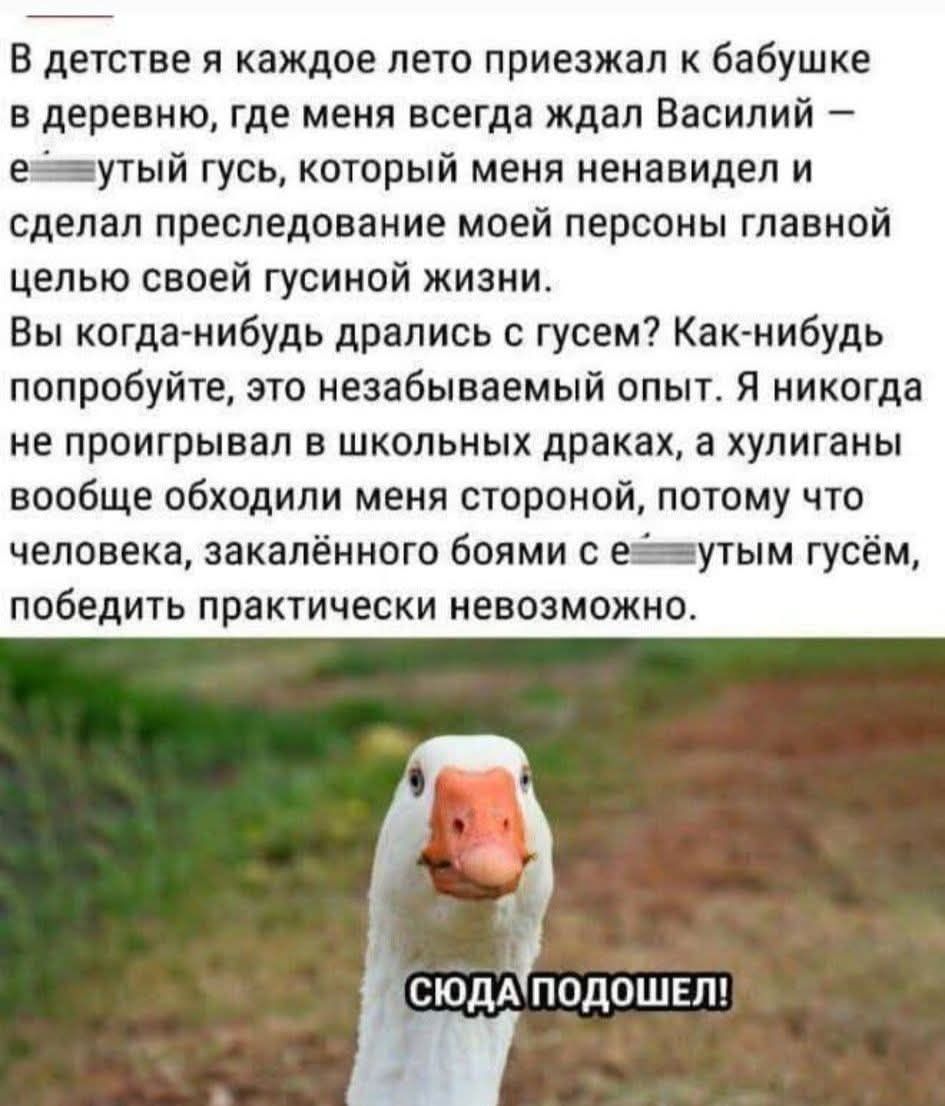 В детстве я каждое лето приезжал к бабушке в деревню, и Василий — е*** гусь, который меня ненавидел и преследовал. Вы когда-нибудь дрались с гусем? Попробуйте — это незабываемый опыт. Я никогда не проигрывал школьных драках, потому что закалён боем с е*** гусём.