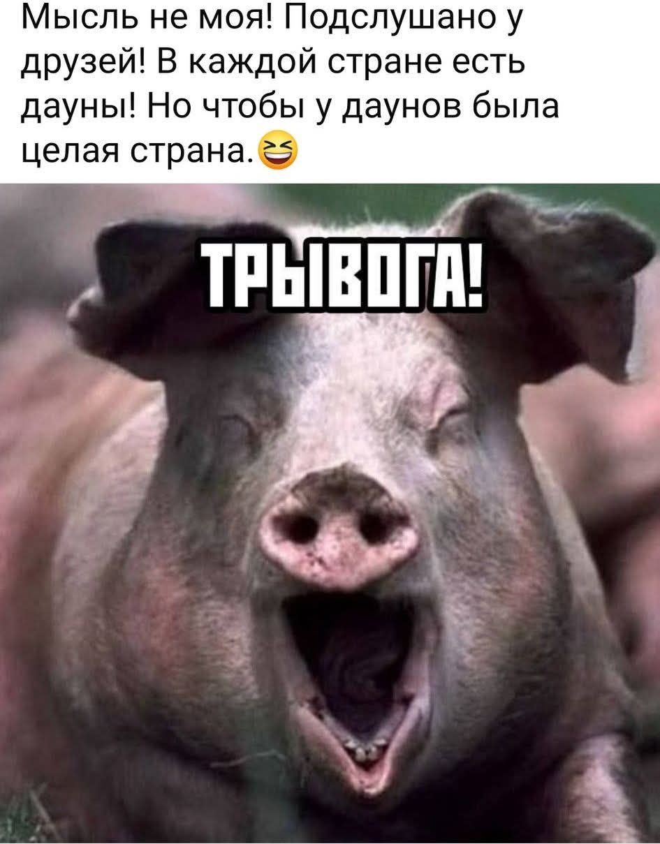 Мысль не моя! Подслушано у друзей! В каждой стране есть дауны! Но чтобы у даунов была целая страна. 😆
