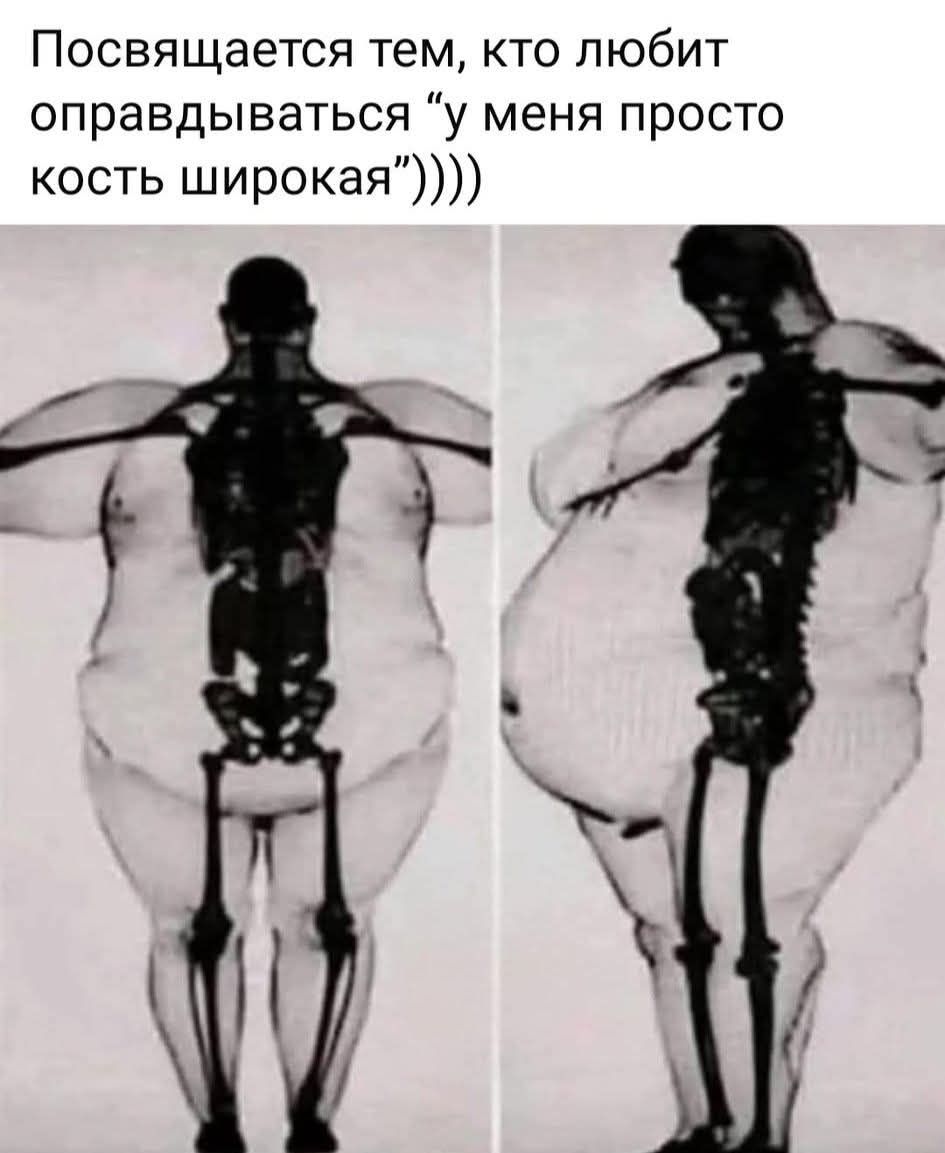 Посвящается тем, кто любит оправдываться 