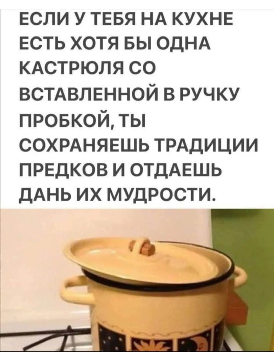 ЕСЛИ У ТЕБЯ НА КУХНЕ ЕСТЬ ХОТЯ БЫ ОДНА КАСТРЮЛЯ СО ВСТАВЛЕННОЙ В РУЧКУ ПРОБКОЙ, ТЫ СОХРАНЯЕШЬ ТРАДИЦИИ ПРЕДКОВ И ОТДАЕШЬ ДАНЬ ИХ МУДРОСТИ.