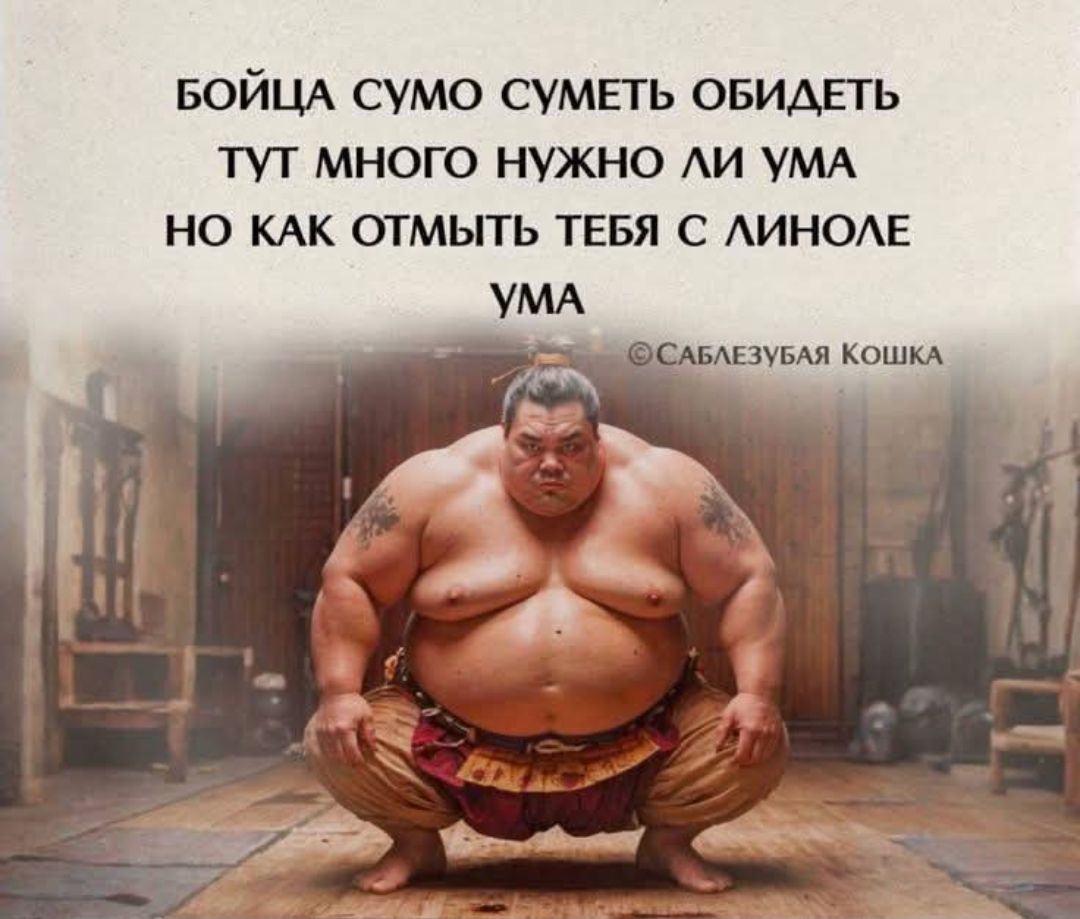 БОЙЦА СУМО СУМЕТЬ ОБИДЕТЬ ТУТ МНОГО НУЖНО ЛИ УМА НО КАК ОТМЫТЬ ТЕБЯ С ЛИНОЛЕУМА