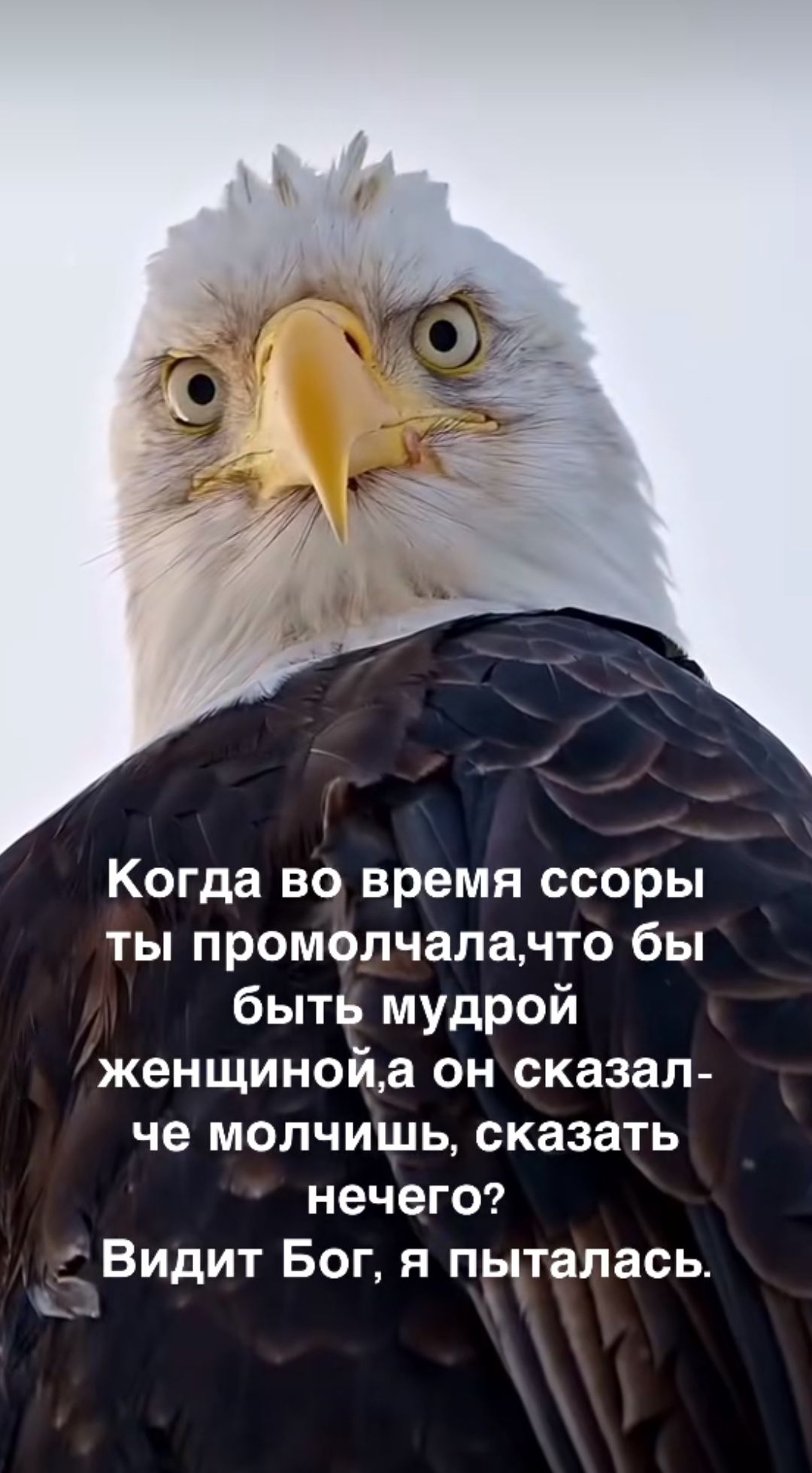 Когда во время ссоры ты промолчала, чтобы быть мудрой женщиной, а он сказал: молчишь, сказать нечего? Видит Бог, я пыталась.