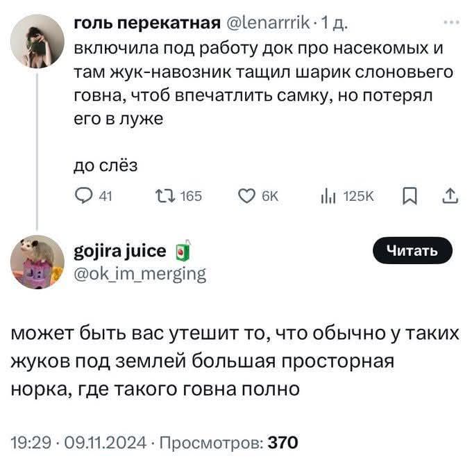 включила под работу док про насекомых и там жук-назоск тачил шарик слоновьего говна, чтоб впечатлить самку, но потерял его в луже до слёз может быть вас утешит то, что обычно у таких жуков под землей большая просторная норка, где такого говна полно