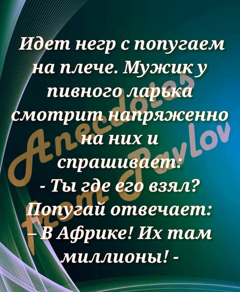 Идёт негр с попугаем на плече. Мужик пивного ларька смотрит напряженно на них и спрашивает: — Ты где его взял? Попугай отвечает: — В Африке! Их там миллионы! —