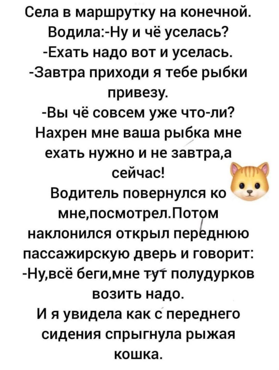 Села в маршрутку на конечной. Водила:- Ну и чё уселась? -Ехать надо вот и уселась. -Завтра приходи я тебе рыбки привезу. -Вы чё совсем уже что-ли? Нахрен мне ваша рыбка мне ехать нужно и не завтра,а сейчас! Водитель повернулся ко мне,посмотрел.Потом наклонился открыл переднюю пассажирскую дверь и говорит: -Ну,всё бегите,мне тут полудурков возить надо. И я увидела как с переднего сидения спрыгнула рыжая кошка.