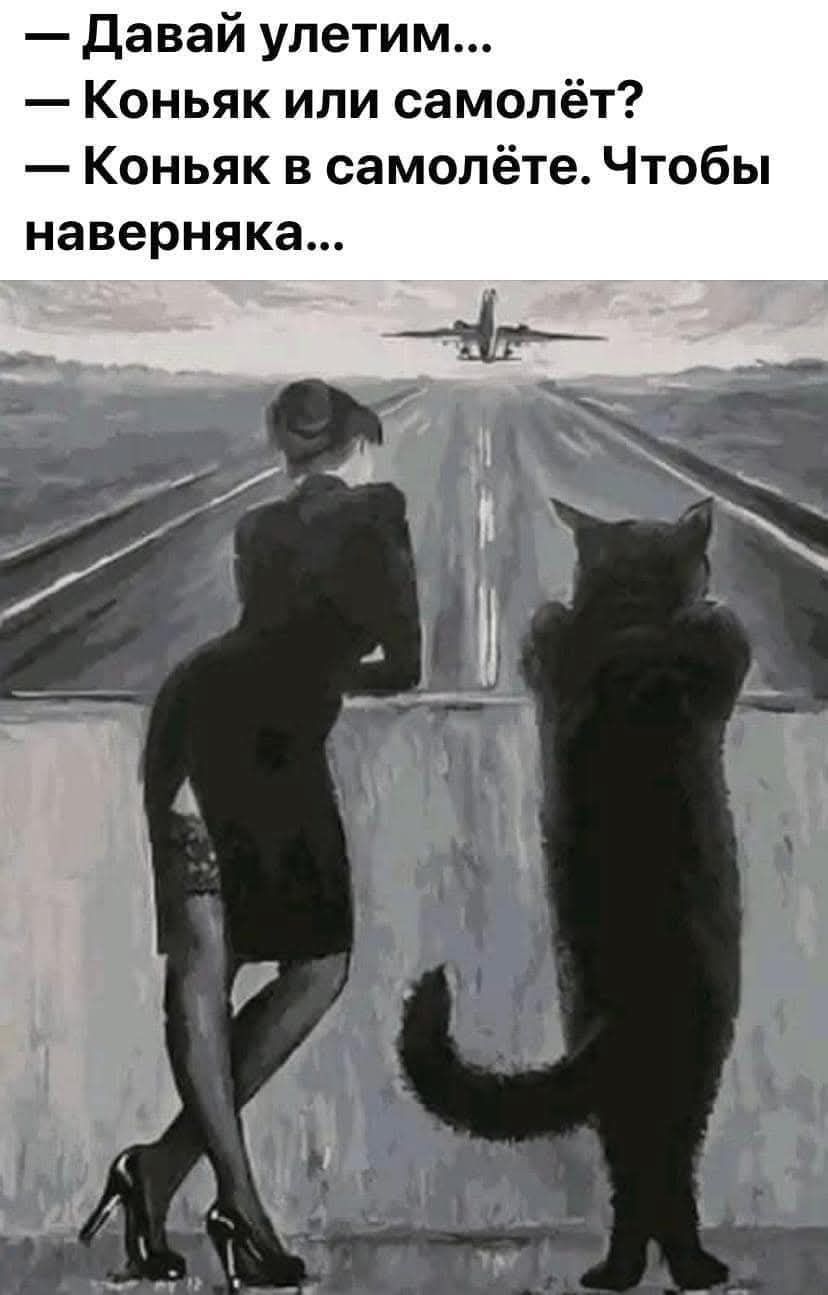 — Давай улетим...\n— Коньяк или самолёт?\n— Коньяк в самолёте. Чтобы наверняка...