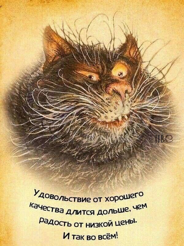 У удовольствии от хорошего качества длится дольше, чем радость от низкой цены. И так во всём!