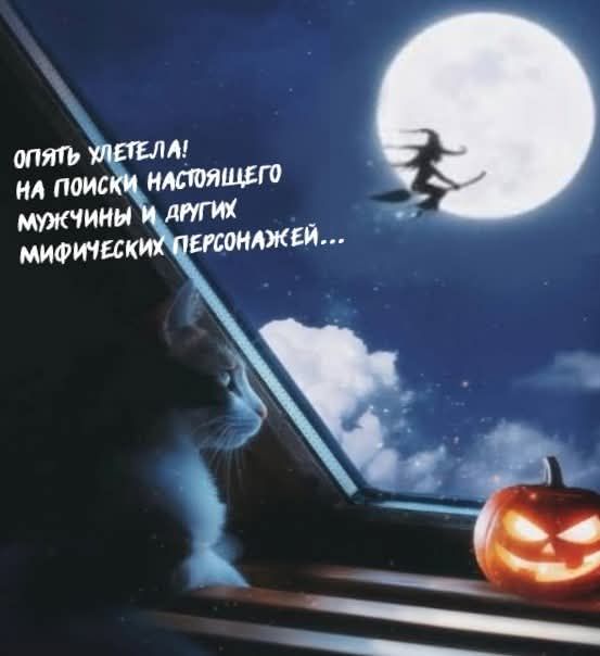 ОПЯТЬ УЛЕТЕЛА! НА ПОИСКИ НАСТОЯЩЕГО МУЖЧИНЫ И ДРУГИХ МИФИЧЕСКИХ ПЕРСОНАЖЕЙ...