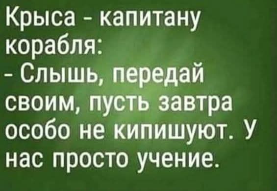 Крыса - капитану корабля: - Слышь, передай своим, пусть завтра особо не кипишуют. У нас просто учение.