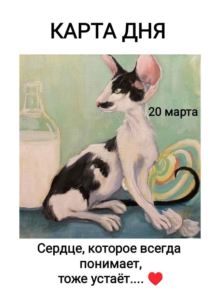 КАРТА ДНЯ 20 марта Сердце, которое всегда понимает, тоже устаёт....