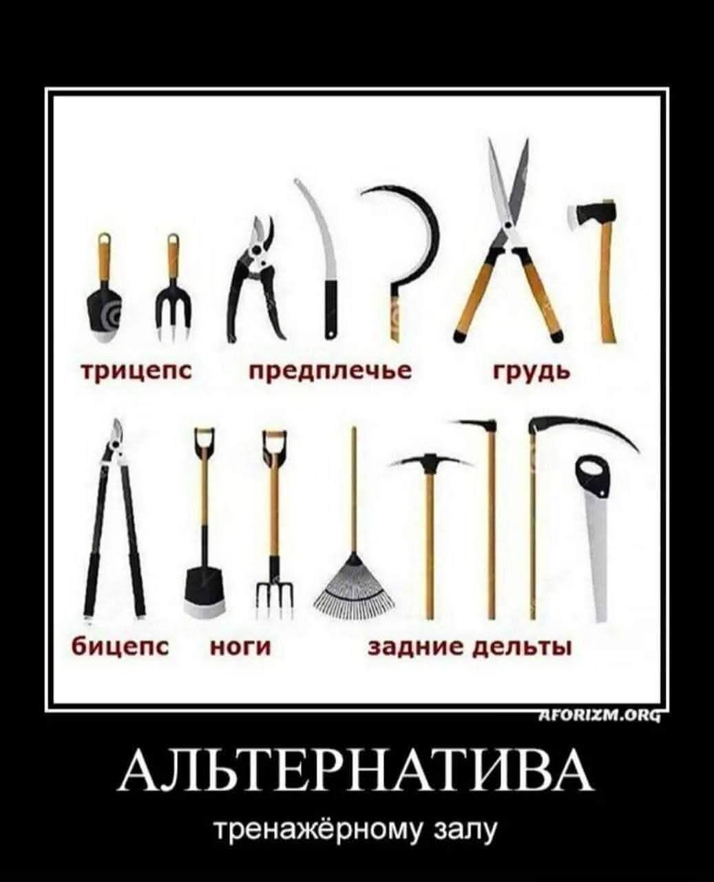 трицепс предплечье грудь бицепс ноги задние дельты АЛЬТЕРНАТИВА тренажёрному залу