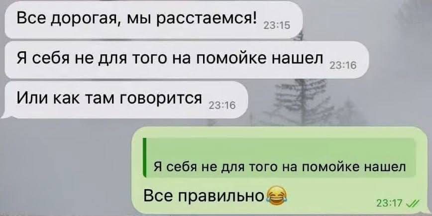 Все дорогая, мы расстаемся! Я себя не для того на помойке нашел. Или как там говорится. Я себя не для того на помойке нашел. Все правильно 😂