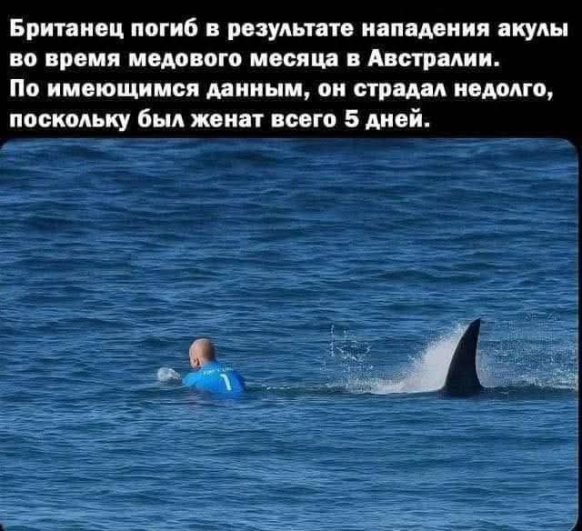 Британец погиб в результате нападения акулы во время медового месяца в Австралии. По имеющимся данным, он страдал недолго, поскольку был женат всего 5 дней.
