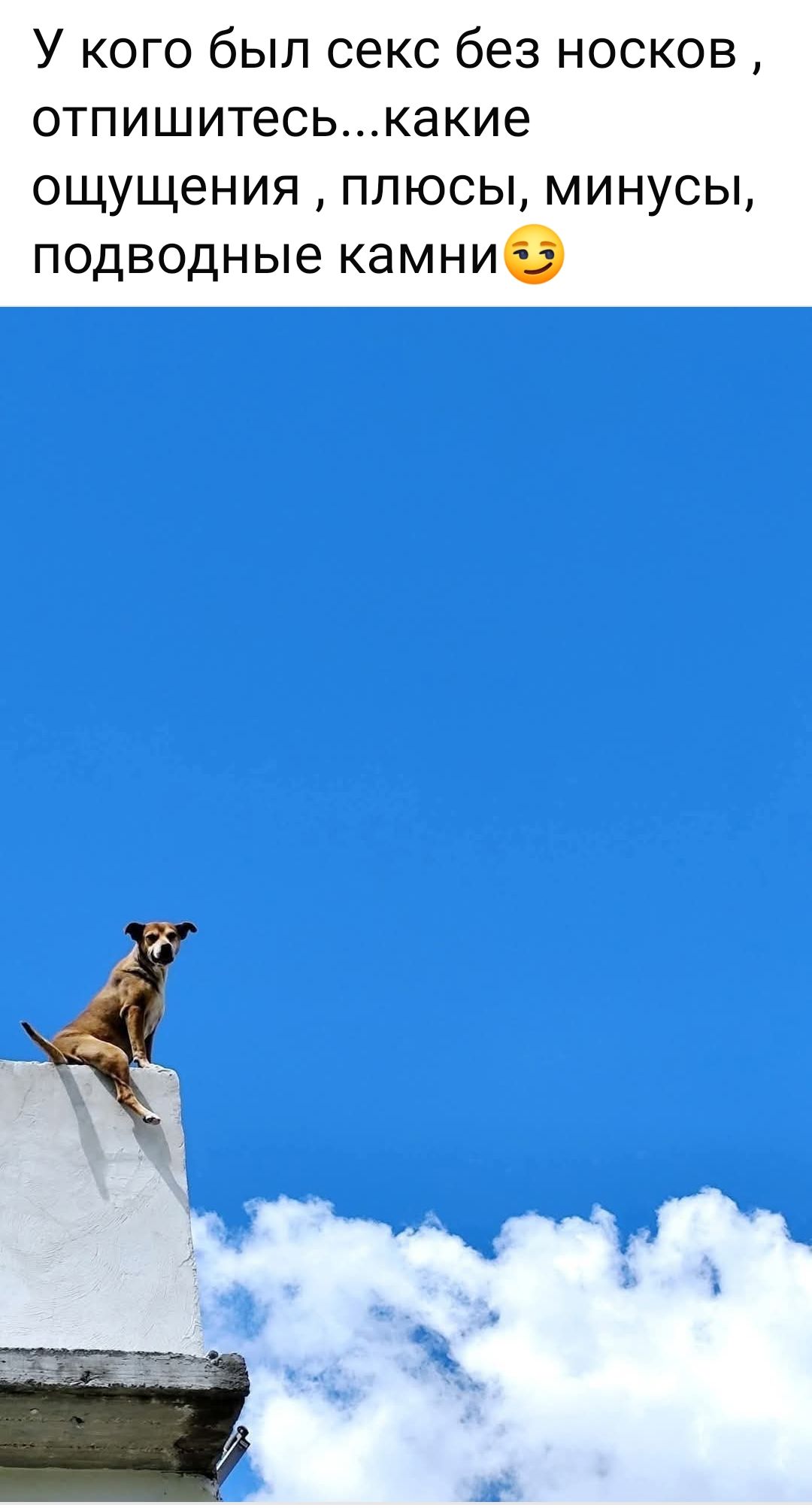У кого был секс без носков, отпишитесь...какие ощущения, плюсы, минусы, подводные камни 🤔