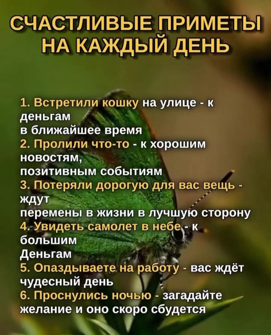 СЧАСТЛИВЫЕ ПРИМЕТЫ НА КАЖДЫЙ ДЕНЬ 1. Встретили кошку на улице - к деньгам в ближайшее время 2. Пролили что-то - к хорошим новостям, позитивным событиям 3. Потеряли дорогую для вас вещь - ждут перемены в жизни в лучшую сторону 4. Увидеть самолет в небе - к большим деньгам 5. Опаздываете на работу - вас ждёт чудесный день 6. Проснулись ночью -