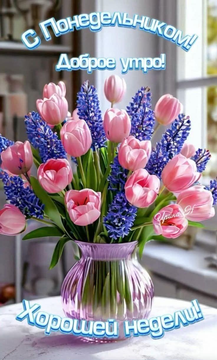 С Понедельником! Доброе утро! Ирина Н. Хорошей недели!