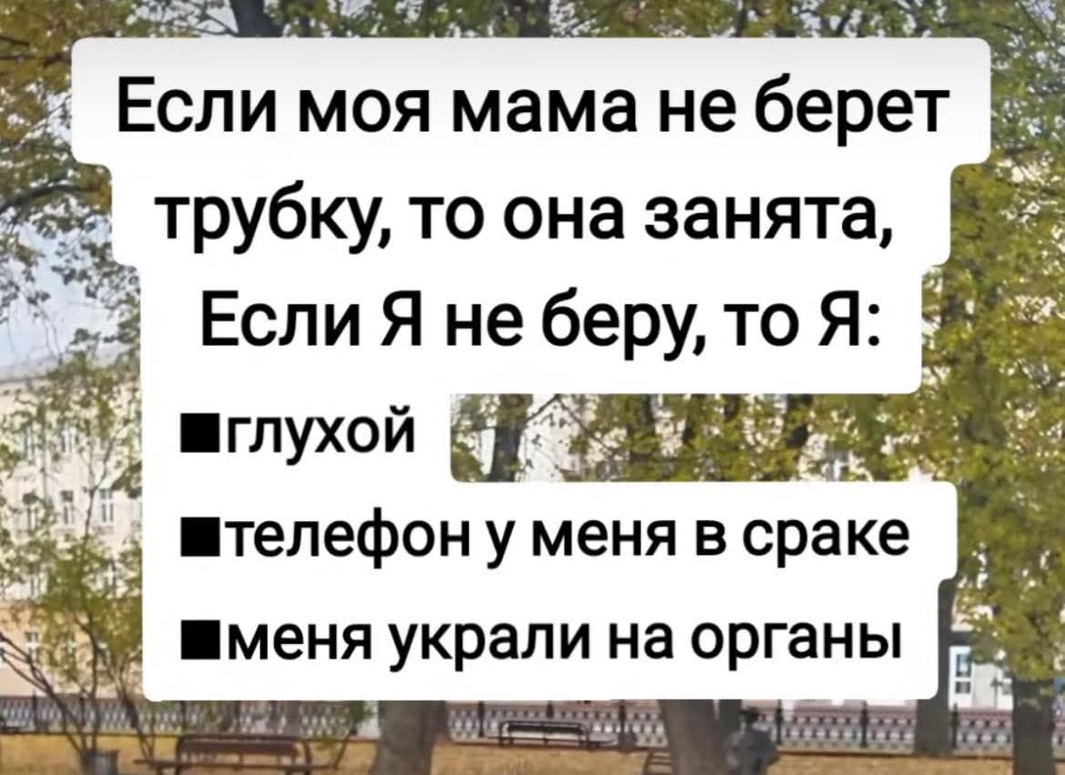 Если моя мама не берет трубку, то она занята, Если Я не беру, то Я: глухой телефон у меня в сраке меня украли на органы
