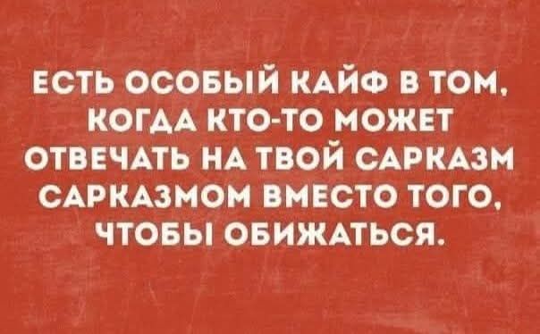 ЕСТЬ ОСОБЫЙ КАЙФ В ТОМ, КОГДА КТО-ТО МОЖЕТ ОТВЕЧАТЬ НА ТВОЙ САРКАЗМ САРКАЗМОМ ВМЕСТО ТОГО, ЧТОБЫ ОБИЖАТЬСЯ.